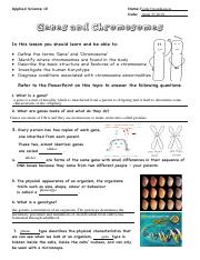 genes and chromosomes worksheet
