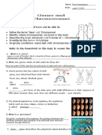 Genes and Chromosomes Worksheet | PDF | Chromosome | Sex