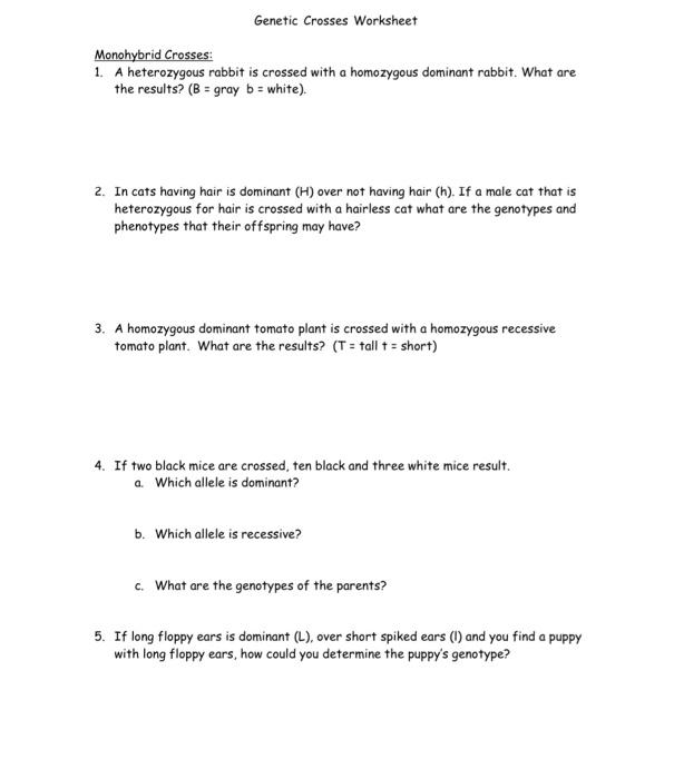 genetic crosses worksheet