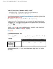 genetic crosses worksheet