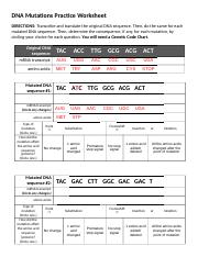 DNA Mutations Practice Worksheet.doc - DNA Mutations Practice ...