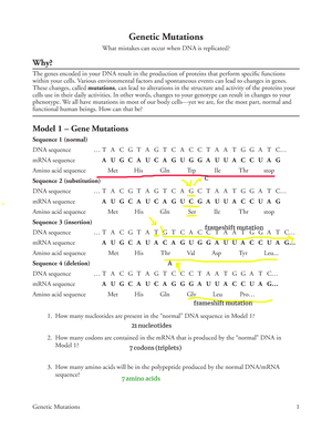 genetic mutation worksheet answers