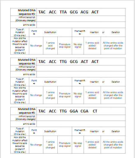 Solved DNA Mutations Practice Worksheet DIRECTIONS: | Chegg.com