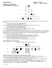 Pedigree Worksheet - fillable.pdf - Pedigree Worksheet Aryana ...