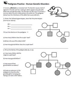 Analyzing Pedigrees - Human Genetic Disorders