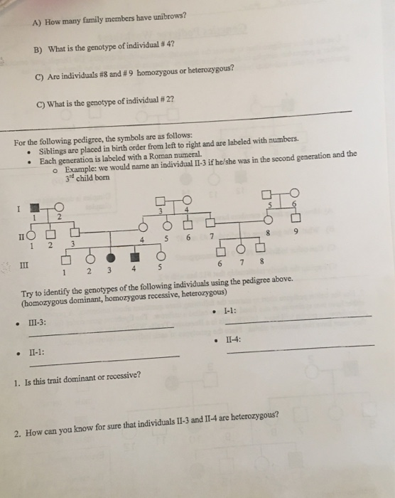 Solved Genetics Pedigree Worksheet 1. Use the below pedigree ...