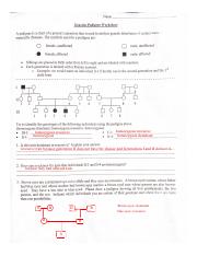 genetic pedigree worksheet