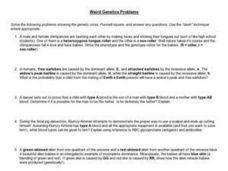 genetic problems worksheet answers