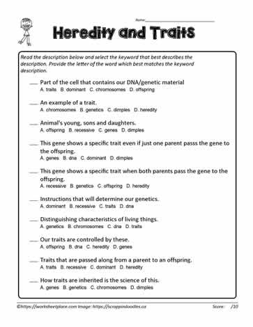 Heredity Traits Multiple Choice Worksheets