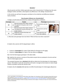 genetic worksheet