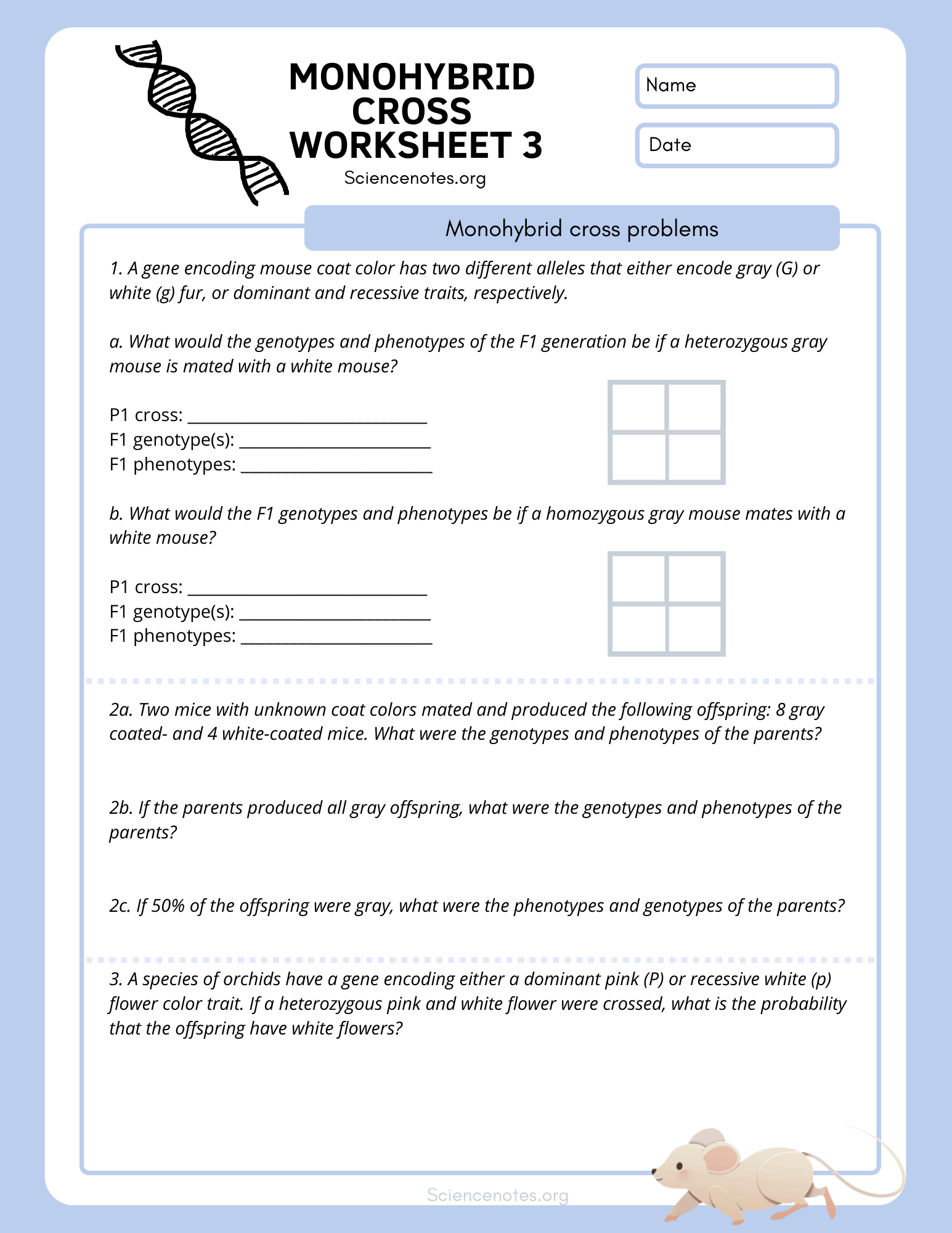 Genetics Worksheets and Printables