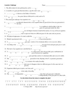 genetics challenge worksheet answers