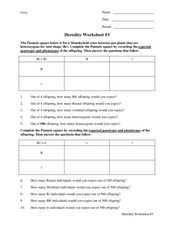 genetics challenge worksheet answers