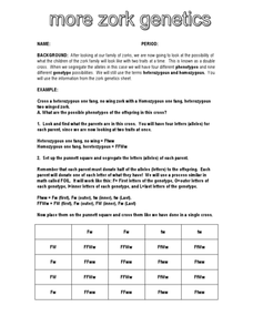 genetics challenge worksheet answers