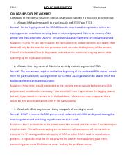 genetics challenge worksheet answers