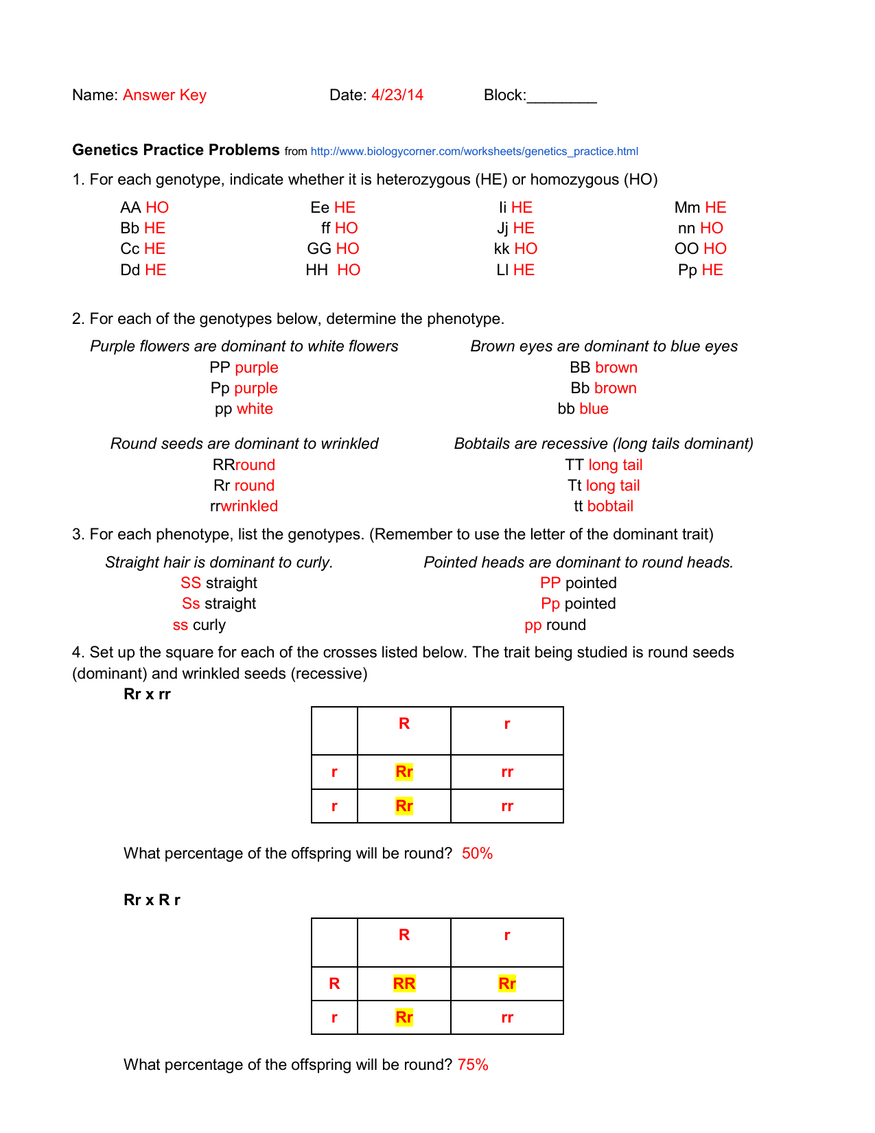 genetics practice problems simple worksheet answers