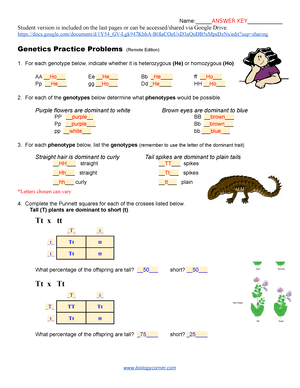 Simple Genetics Practice Remote Edition KEY-1 - Name:ANSWER ...