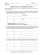 Genotype Lesson Plans &  Worksheets | Lesson Planet