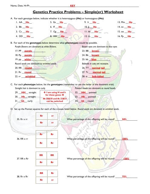 Genetics Practice Problems â€“ Simple(er) Worksheet - Fulton ...