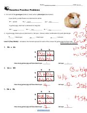 Biology-Genetics Practice Problems 20-21 .pdf - Ayla Aijaz 29/03 ...