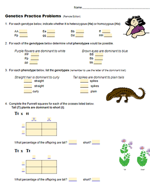Genetics Practice with Simple Monohybrid Crosses