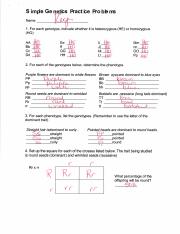 simple genetics practice problems answer sheet - Simple Gene ics ...