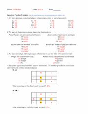 Genetics Practice Problems - Fill and Sign Printable Template Online