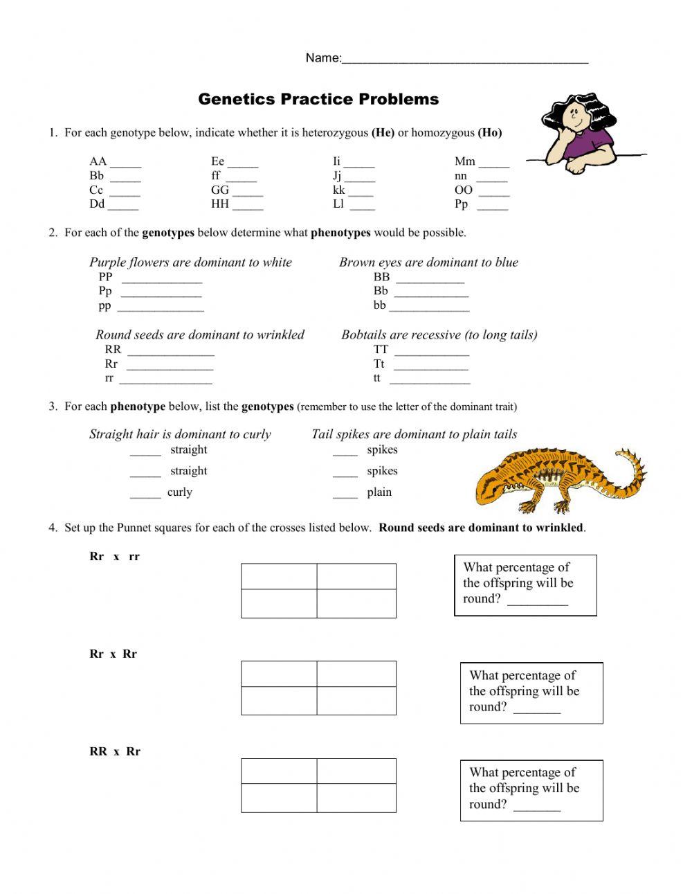 Genetics practice problems online exercise for  