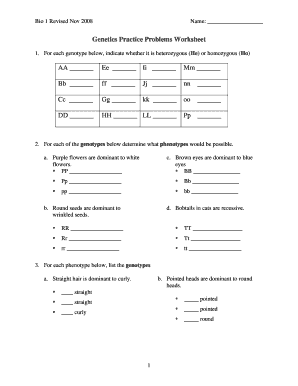 genetics problems worksheet answer key