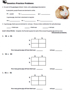 Simple Genetics Practice Problems - Easy to Hard Mode