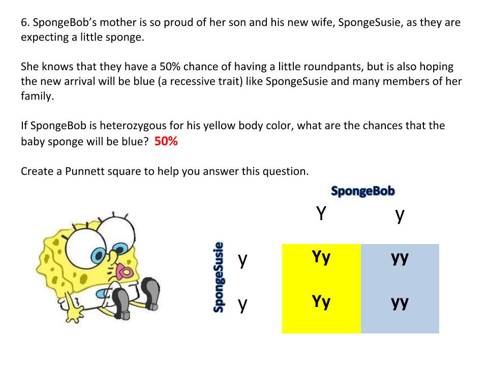 Genetics with SpongeBob - Learning how to use Punnett Squares ...