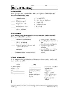 genetics vocabulary worksheet