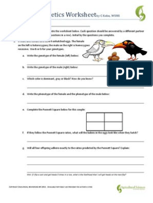 Mendelian Genetics Worksheet | PDF | Genotype | Dominance (Genetics)