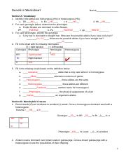 Genetics-Practice Review - Genetics Worksheet Name Section A ...