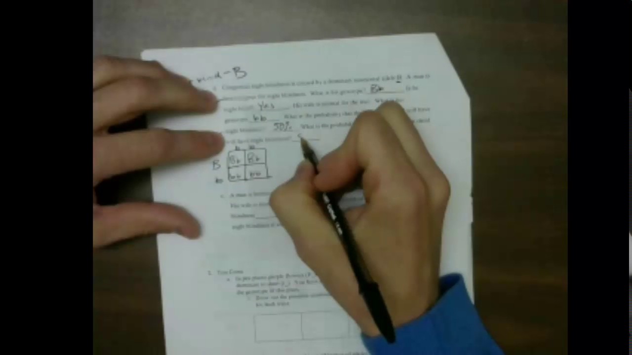 Genetics Worksheet