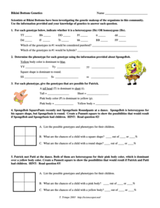Punnett Square Lesson Plans &  Worksheets :: 25 - 48