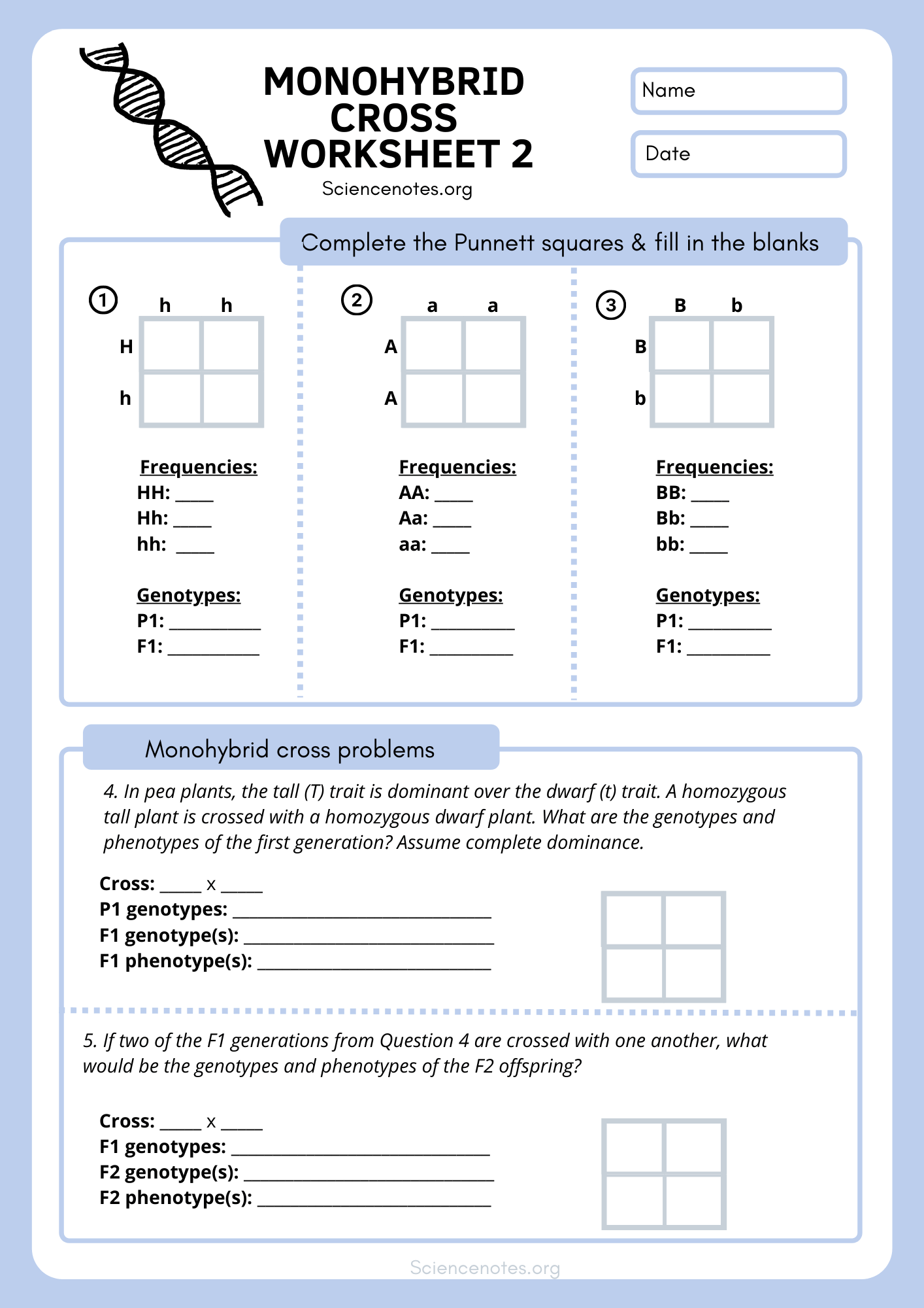 genetics worksheet middle school
