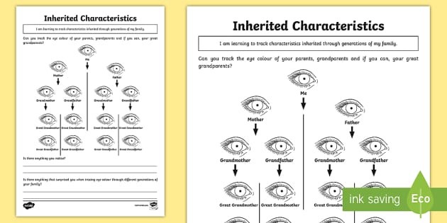 genetics worksheet middle school