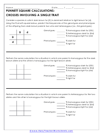 Genetics Worksheets