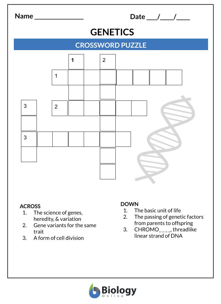 Genetics - Lesson Outline &  Worksheets - Biology Online Tutorial