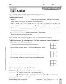 Genetics Worksheet for 9th - Higher Ed | Lesson Planet