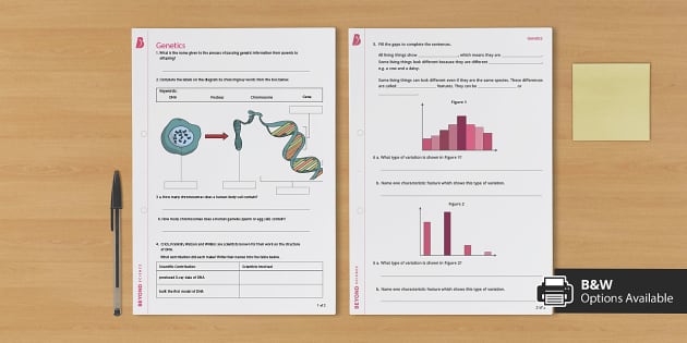 Genetics Worksheet - Homework Sheet (teacher made) - Twinkl