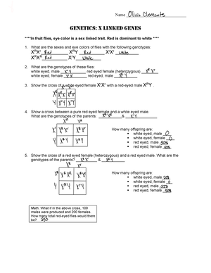 genetics x linked genes worksheet