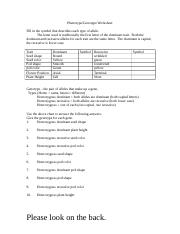 Genotype-phenotype WS.doc - Phenotype/Genotype Worksheet Fill in ...