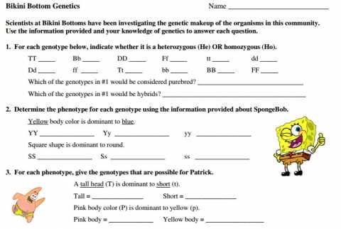 Sponge Bob Genetics Lab Activity | Educational Resource
