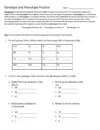 Genotype and Phenotype Practice Worksheet | Exercises Genetics ...