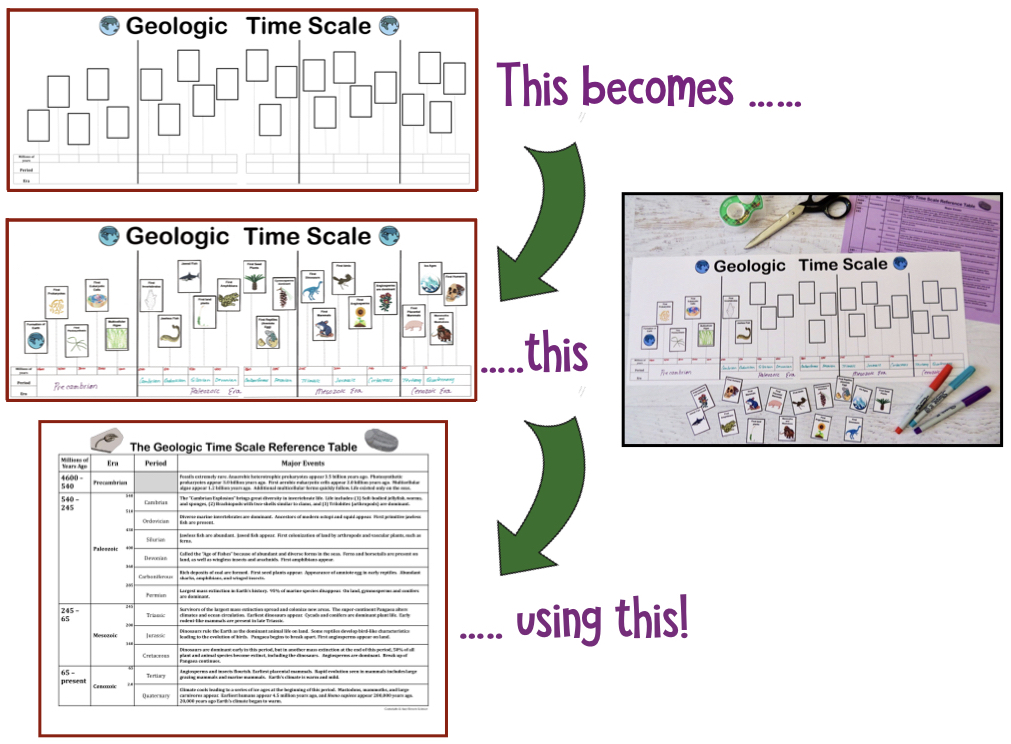 Amy Brown Science: Evolution and the Geologic Time Scale