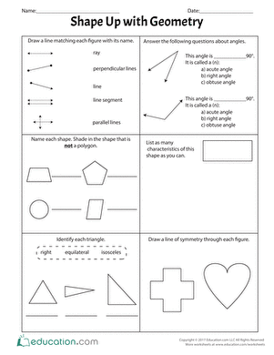Shape Up with Geometry | Worksheet 