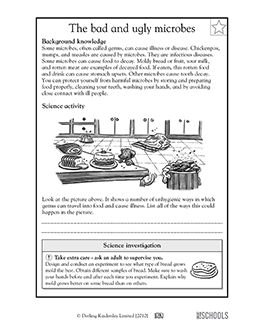 All about germs | 5th grade Science Worksheet | GreatSchools