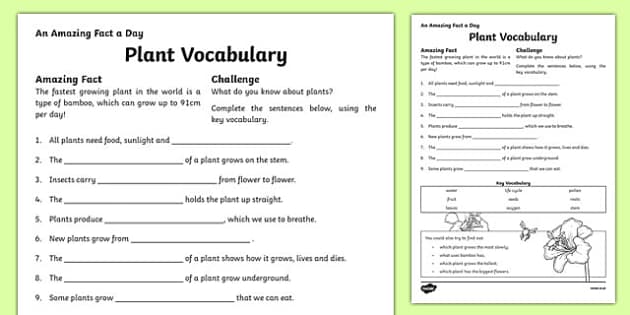 gifted vocabulary worksheet